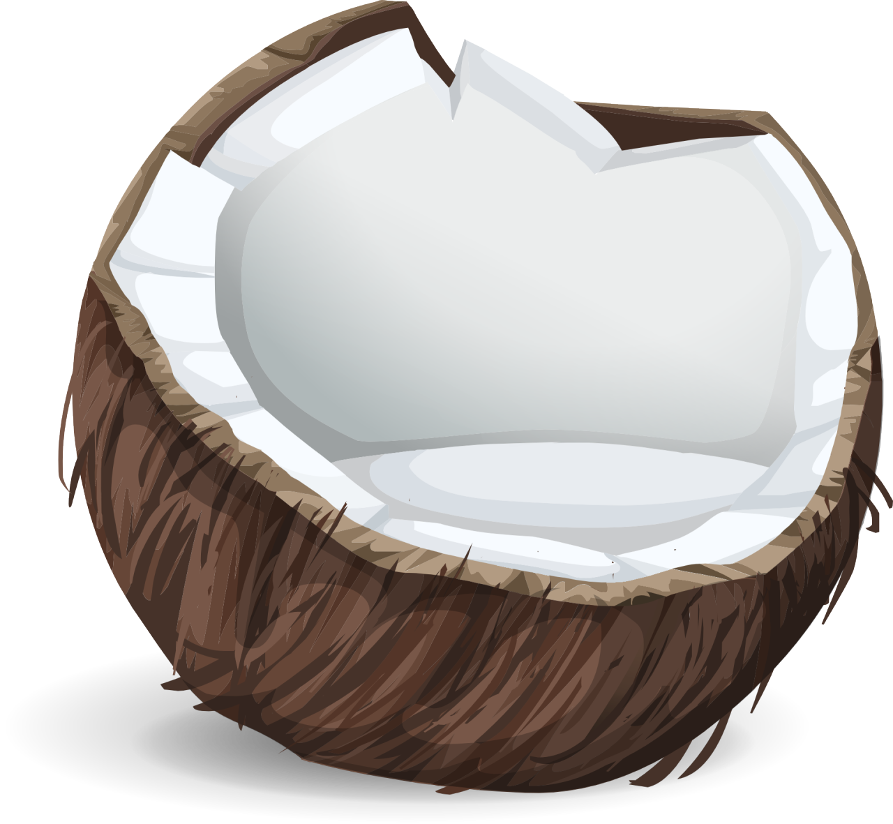 coconuts-575780