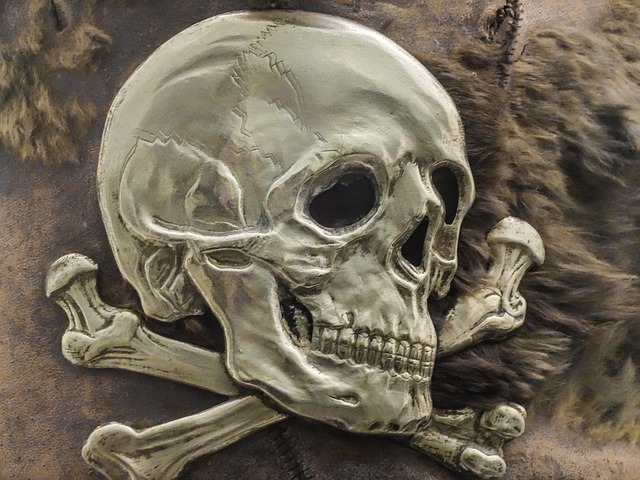 skull-208586_640